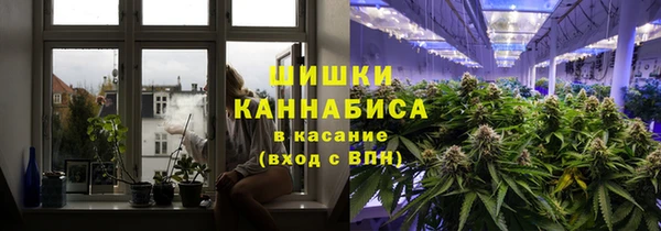гашик Алексеевка