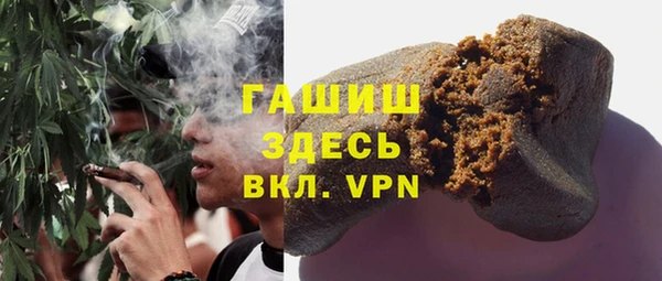 гашик Алексеевка