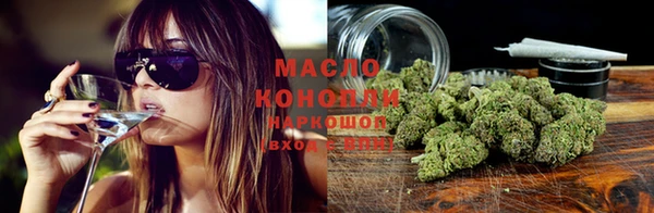 дмт Алзамай