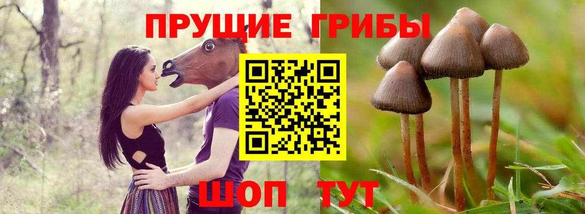 Псилоцибиновые грибы GOLDEN TEACHER  Галлюциногенные грибы MAGIC MUSHROOMS  Вход с VPN  Норильск 