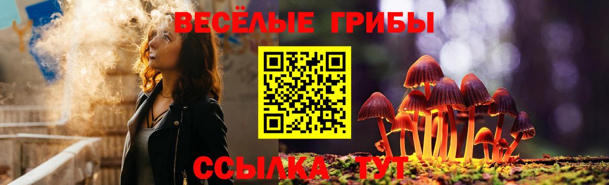Галлюциногенные грибы прущие грибы Норильск